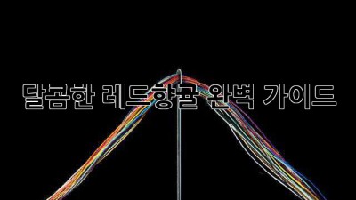 달콤한 레드향귤 완벽 가이드