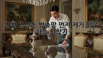 군산 명산동 방충망 먼지 제거🧹✨: 맑은 하늘 되찾기!